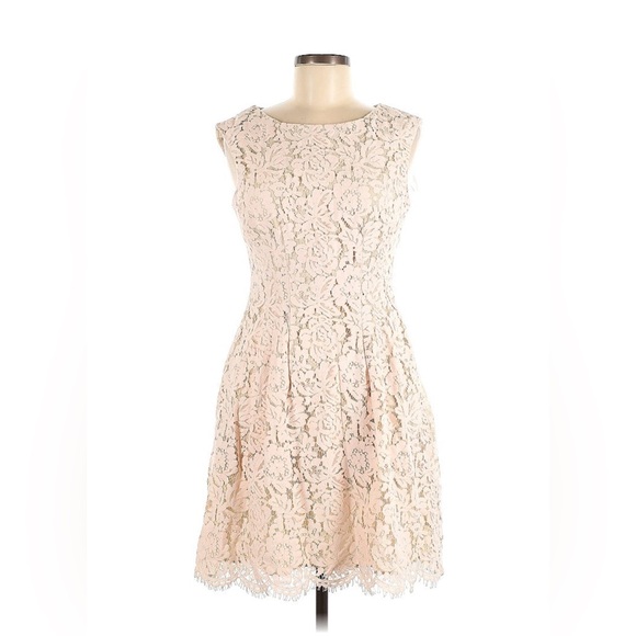 Vince Camuto Dresses & Skirts - VINCE CAMUTO Blush Pink Lace Fit & Flair Dress Sz 12